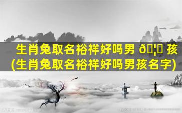 生肖兔取名裕祥好吗男 🦅 孩(生肖兔取名裕祥好吗男孩名字)